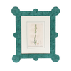 Mid 18th Century Botanicals in Hand Painted Frames- II