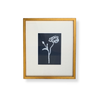 Navy Botanical Art by Kayce Hughes