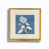 Deep Blue Botanical, Hydrangea by Madison Phipps