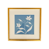 Blue Botanical, Clematis by Madison Phipps