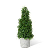 Mountain Savory Cone Faux Topiary, Medium