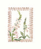 Framed Bordered Botanical Print: Foxglove by Inslee Fariss