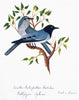 Nehru Bird Print Double Blue (Tier 1 Framing)