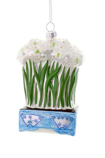 Potted Paperwhites Ornament