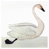 Remastered 17th C. Swedish Swan