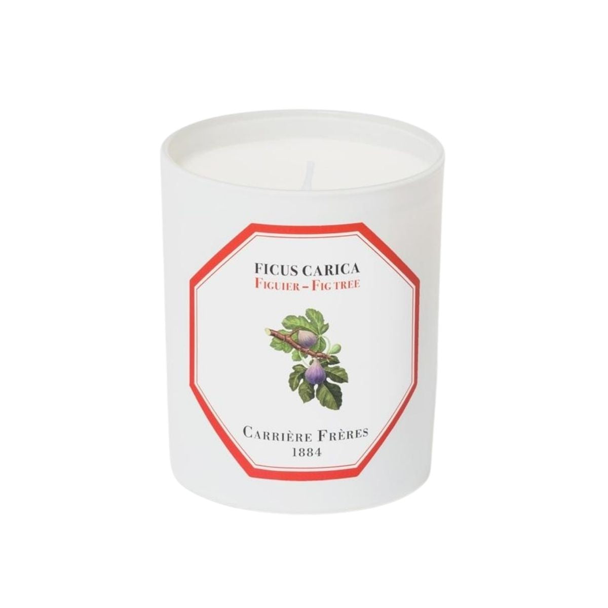 Ficus Carica, Fig Tree Candle