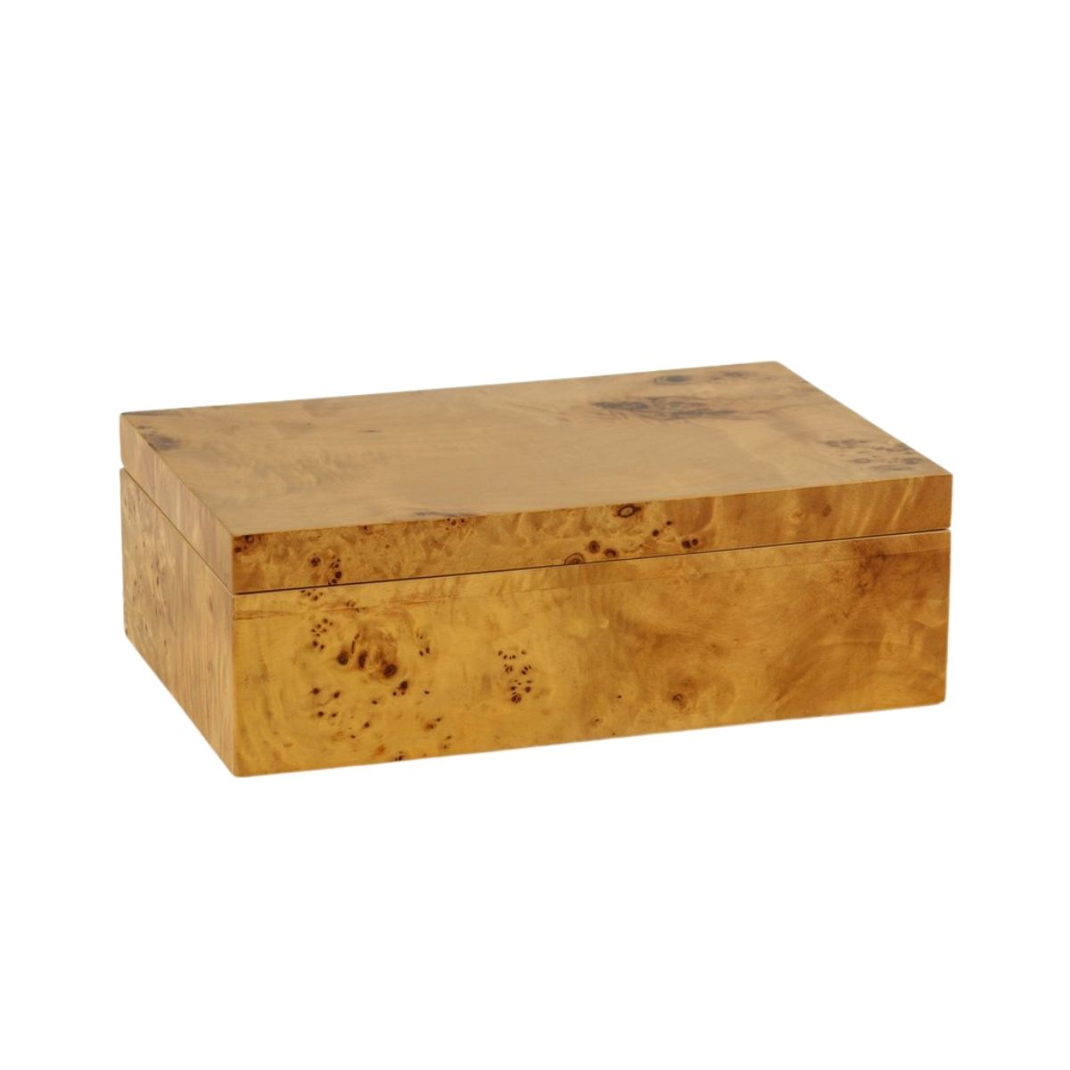 Burl Wood Box, Large