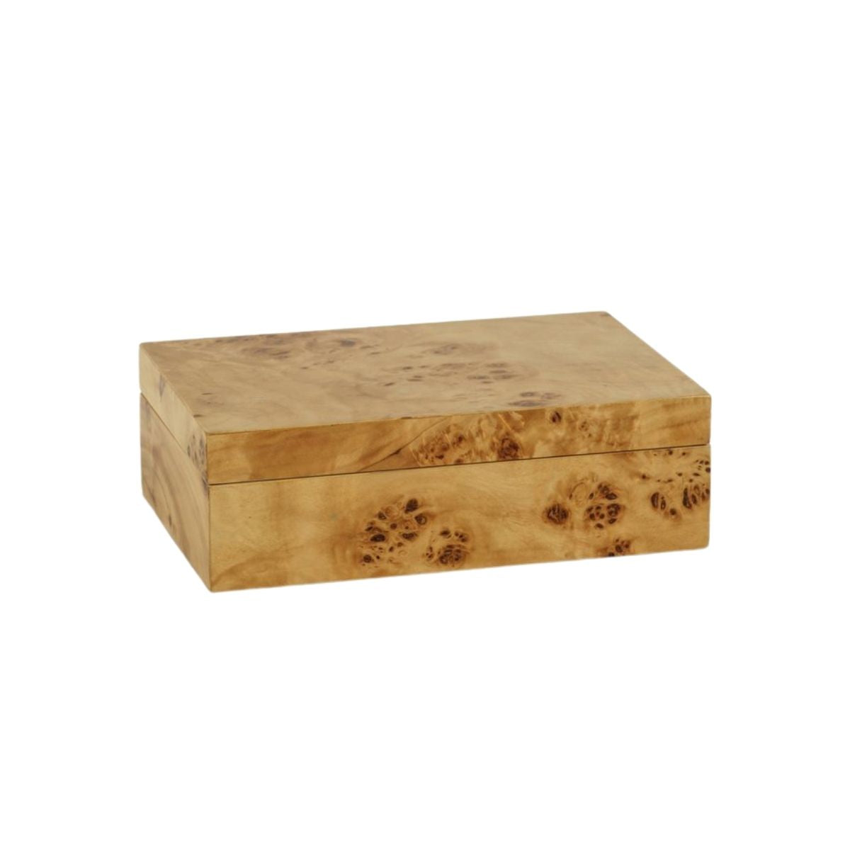 Burl Wood Box, Small