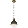 Hicks Small Pendant