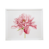 Framed Remastered Peony